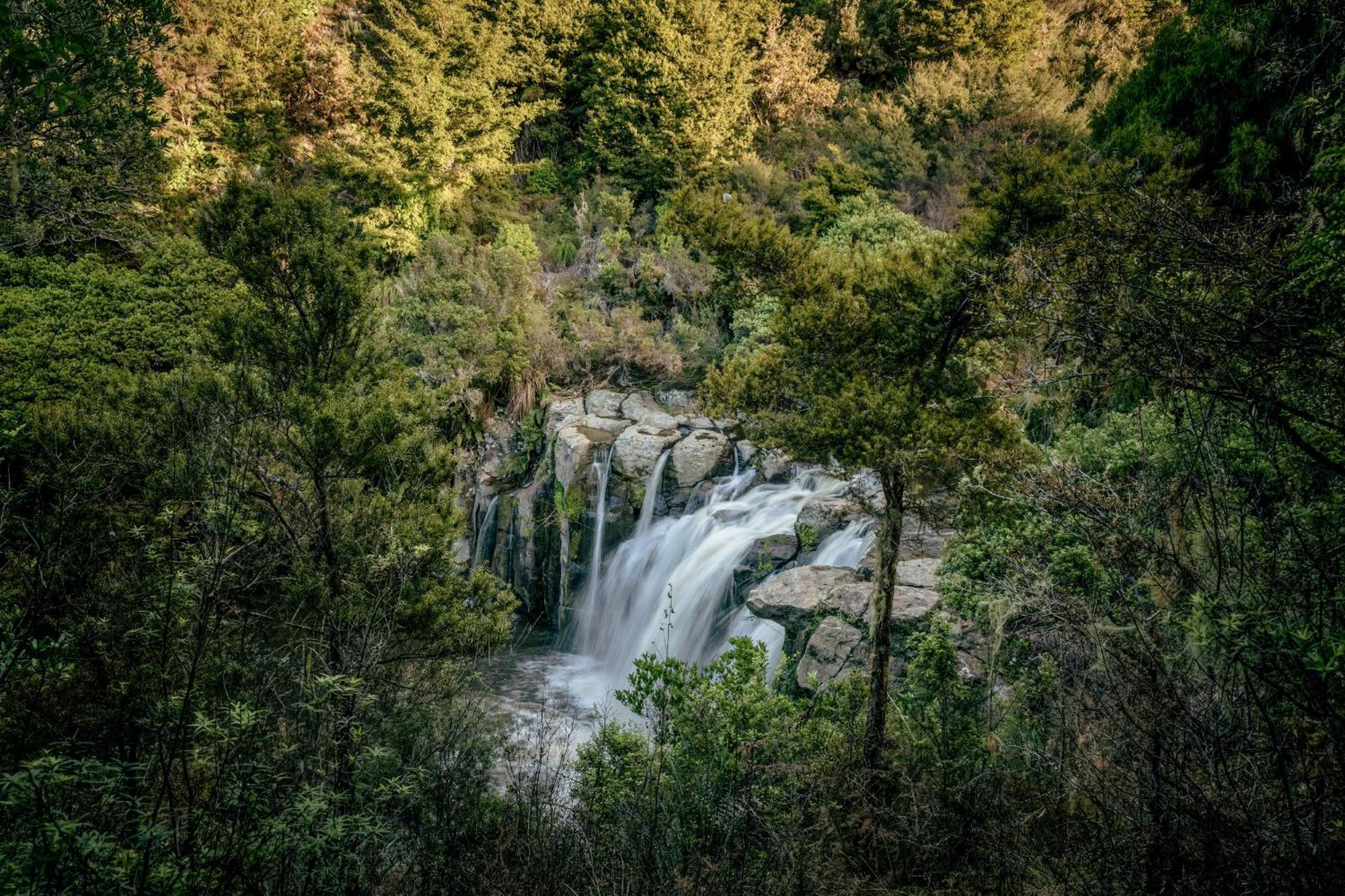 Vila Rosewood Kauri Cliffs Matauri Bay Exteriér fotografie